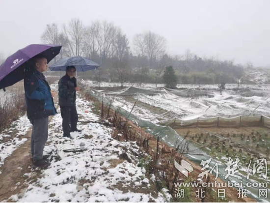 市發(fā)改局駐陳貴鎮(zhèn)上羅村工作隊(duì)檢查農(nóng)業(yè)防寒防凍工作.jpg