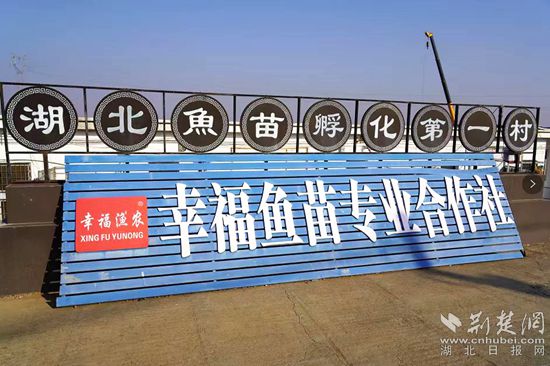6、湖北魚苗第一村_副本.jpg