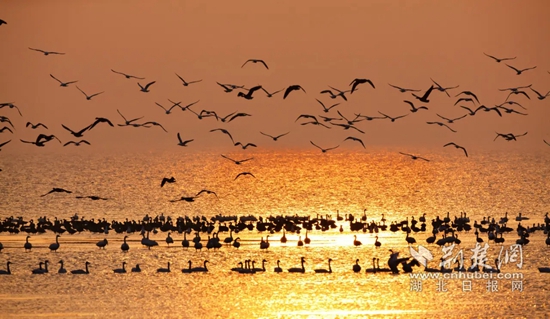 src=http___pic1.arkoo.com_hubf001_picture_p1boov1j5jkts158k1a401