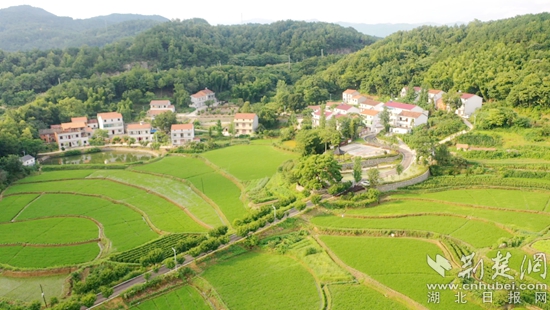 余川鎮(zhèn)美麗鄉(xiāng)村建設 (2).jpg