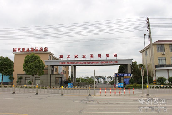 國家級重點(diǎn)龍頭企業(yè)  康宏糧油.jpg