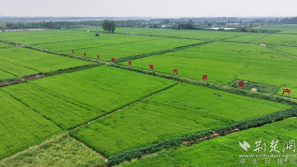 0901農業(yè)局 李局長-1_x264.m4V_20230905_100214.688.jpg