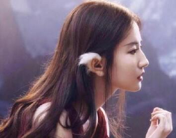 ������ֵ�����¸߶�